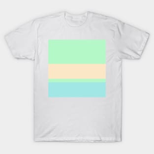 A solitary pot-pourri of Light Pink, Blue Lagoon, Magic Mint and Pale Peach stripes. T-Shirt